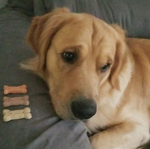 Meet your Posher, Elycia